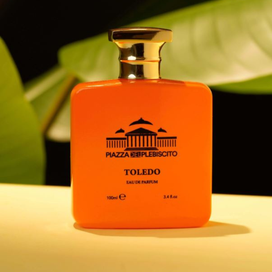 PIAZZA DEL PLEBISCITO - TOLEDO