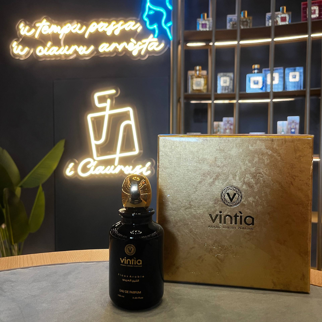 VINTIA - FICUS ARABIE – immagine prodotto 2