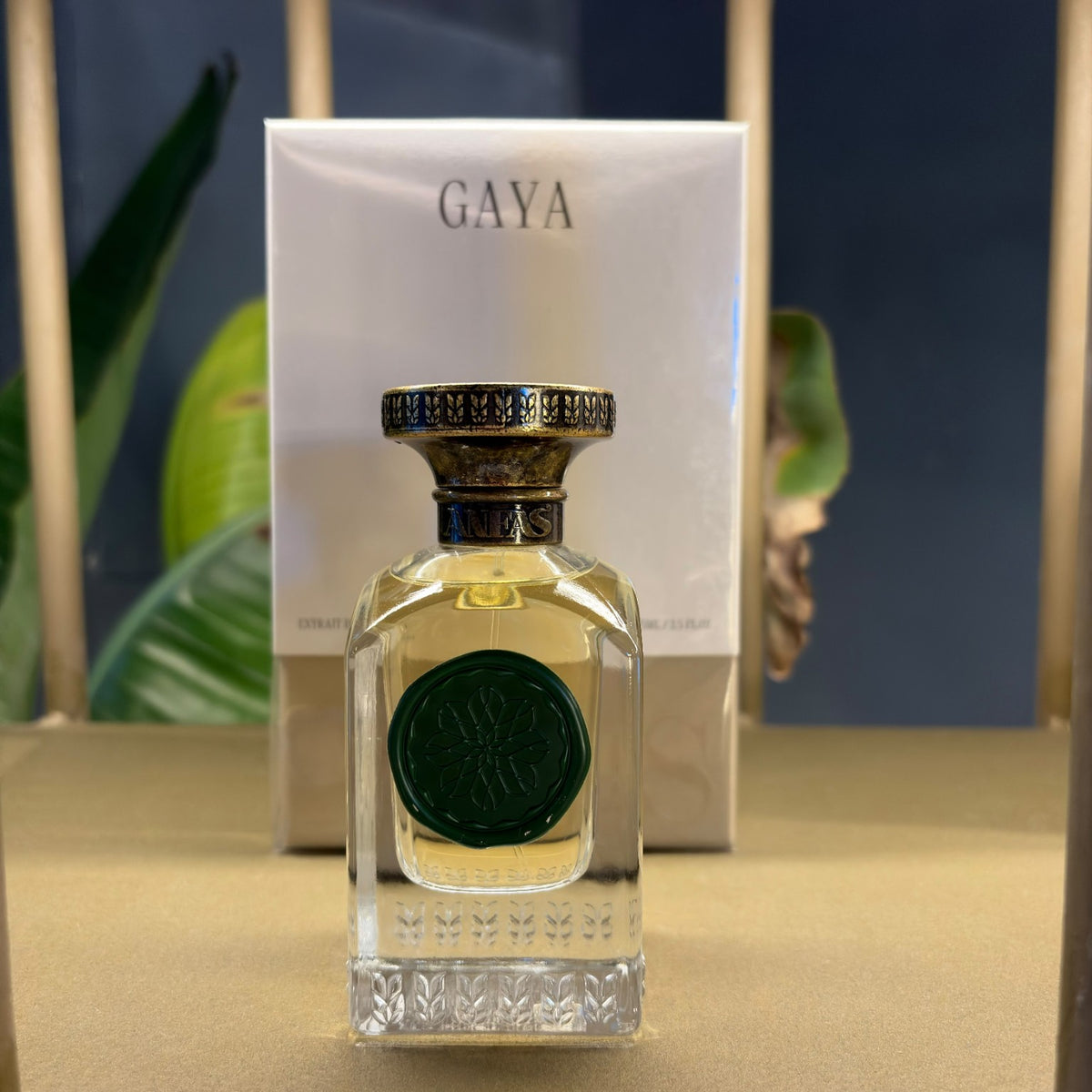 ANFAS GAYA — flacone e confezione fotografati presso I Ciaurusi