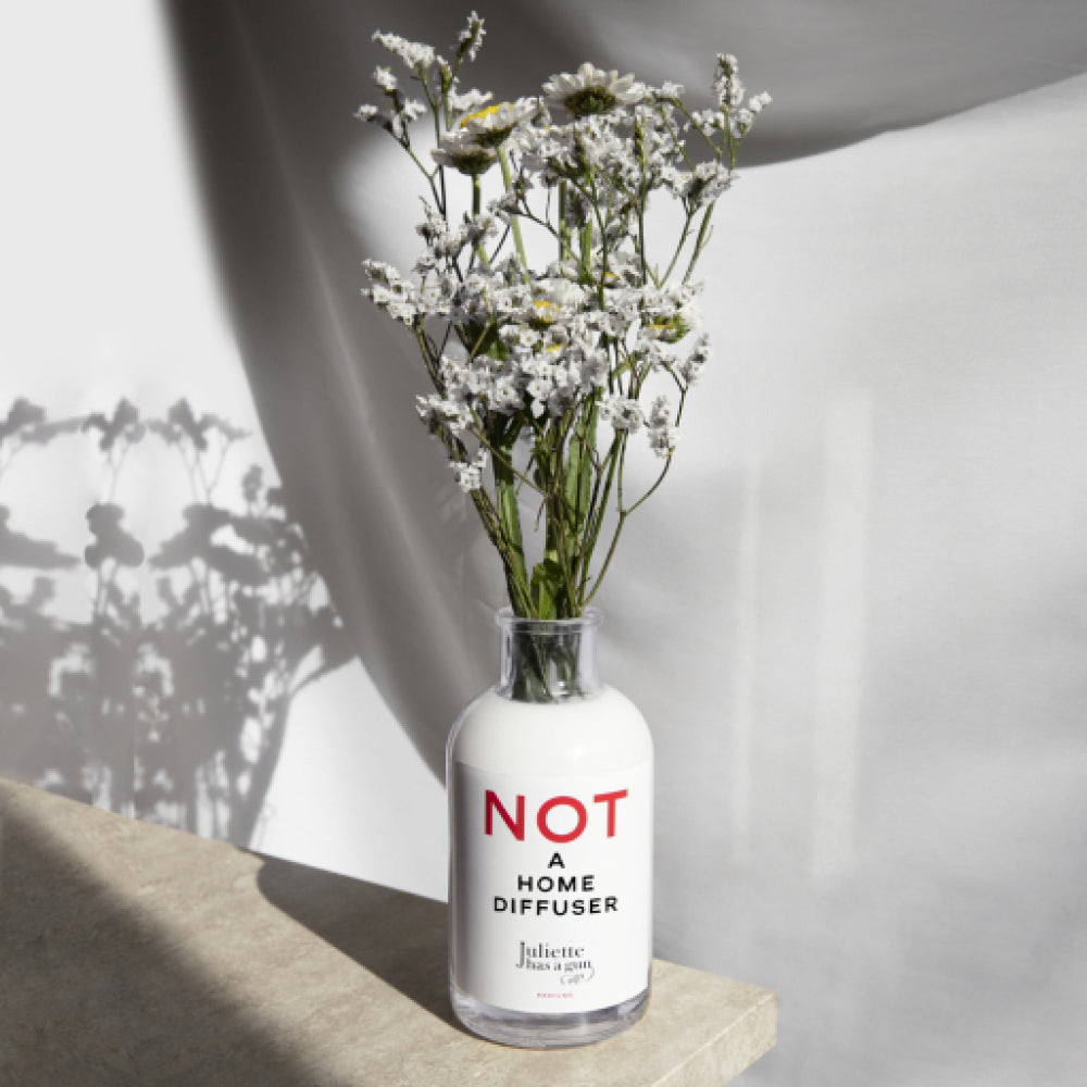 Not a Home Diffuser di Juliette Has a Gun — 200 ml, immagine ufficiale