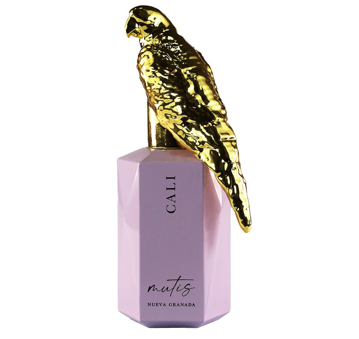 Mutis Nueva Granada Cali 50 ml nella campagna Aras