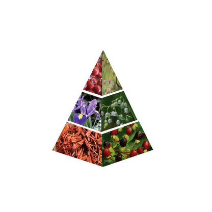 NASEEM Amethyst Love - piramide olfattiva ufficiale