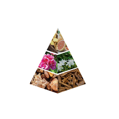 NASEEM Lost in the Woods - piramide olfattiva ufficiale