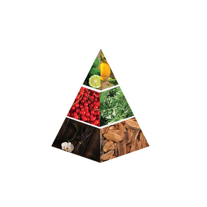 NASEEM Ocean Enigma - piramide olfattiva ufficiale