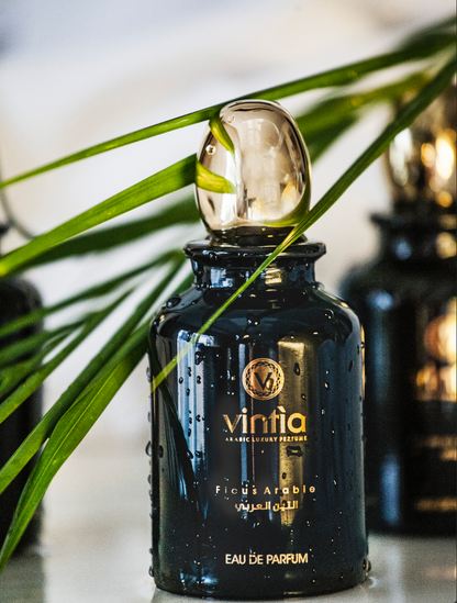 Vintia Ficus Arabie 100 ml ambientato con foglie e gocce d’acqua